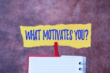 El yazısı işareti Youquestion 'u motive eden şey nedir? Kavram demek, neden her sabah uyanmak istediğini bilmek Çözümlerin ve Cevapların Yeni Fikri 'nin peşinde koşmak ve daha fazla ipucu aramak.