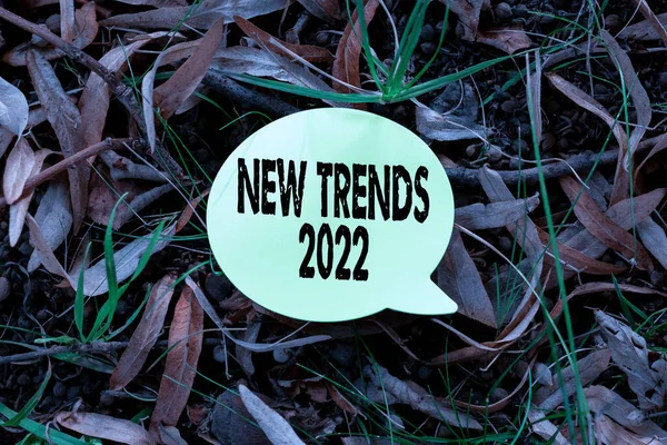 Fogalmi megjelenítés Új trendek 2022. Szó írva általános irányba, amelyben valami fejlődik gondolkodás új fényes ötletek megújítása kreativitás és inspiráció — Stock Fotó