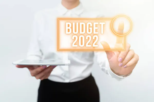 手書き署名予算2022.ビジネスの概要当期の収入と支出の見積もり新しい技術のアイデアを提示技術の改善について議論 — ストック写真
