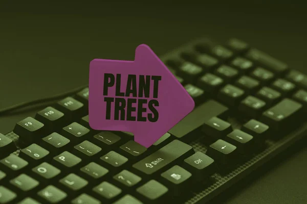 Text zeigt Inspiration Plant Trees. Geschäftlicher Ansatz Prozess der Pflanzung eines Baumes für Landbewirtschaftung und Forstwirtschaft Typisierung eines neuen Lehrbuchs, Abstract Retyping Old Essay Online — Stockfoto