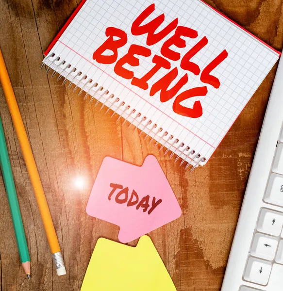 Text sign showing Well Being. Conceptual photo A good or satisfactory condition of existence including health Display of Different Color Sticker Notes Arranged On flatlay Lay Background