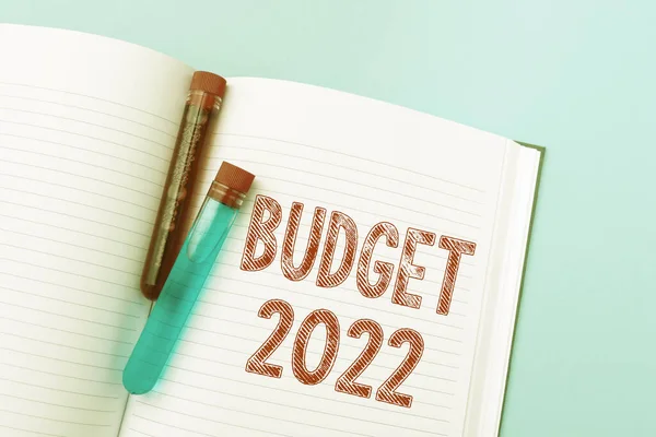 Text sign showing Budget 2022. Word for estimate of income and expenditure for next or current year Writing Important Medical Notes Laboratory Testing Of New Virus Medicine — Stock Photo, Image