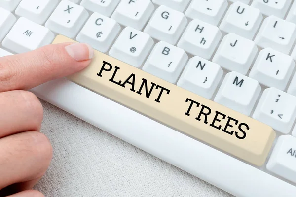 Τίτλος κειμένου που παρουσιάζει τα Φυτικά Δέντρα. Word for process of planting a tree for land culture and forestry Επεξεργασία Διαδικτυακών Αρχείων, Φιλτράρισμα Διαδικτυακών Φόρουμ, Ιδέες Web Research — Φωτογραφία Αρχείου