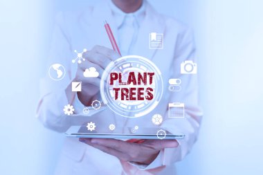 Bitki ağaçlarını gösteren tabela. Sanal Ekran Arayüzü 'nde Dijital Veriye Dokunan İş Kadınları Arazi Gelişimi ve Ormancılık için bir ağaç dikme fikri.