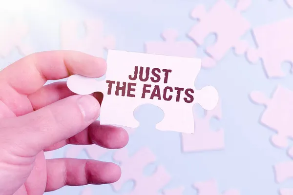 Texto que presenta Just The Facts. Descripción general del negocio para tener la información correcta sobre los detalles exactos Construcción de un rompecabezas blanco inacabado con faltante última pieza —  Fotos de Stock