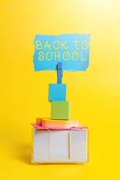Firma che mostra Back To School. Panoramica aziendale è il periodo relativo all'inizio di un nuovo anno scolastico Idea Colorata Presentazione Visualizzazione di Pensieri Freschi Invio Messaggio — Foto Stock