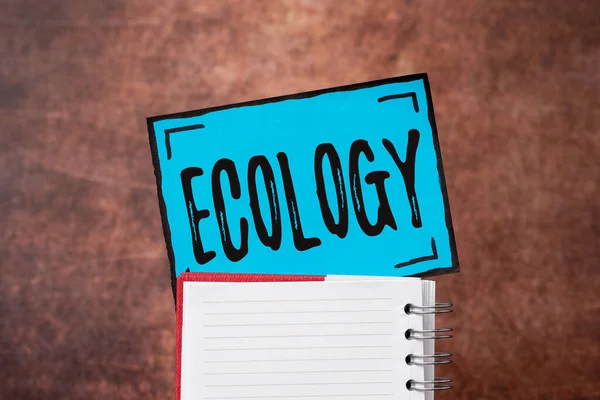 Schrijven met tekst Ecologie. Internet Concept Tak van de wetenschap relatie organismen milieu Wetenschappelijke studie Brainstorming The New Idea Of Solutions And Answers Op zoek naar meer aanwijzingen — Stockfoto