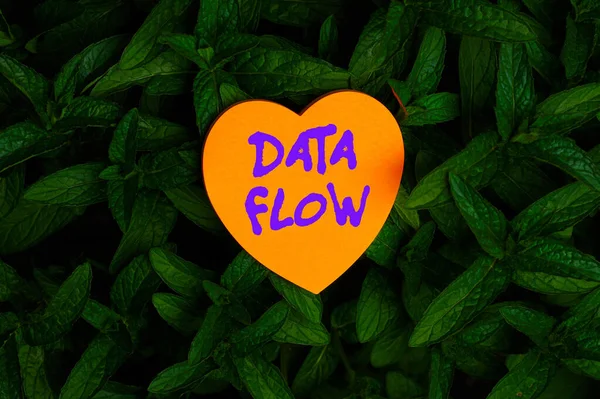 Inspiração mostrando sinal de fluxo de dados. Ideia de negócio o movimento de dados através de um sistema composto de software Heart Shaped Paper On Top Of Outdoor Natureza Planta Folhosos Bush. — Fotografia de Stock