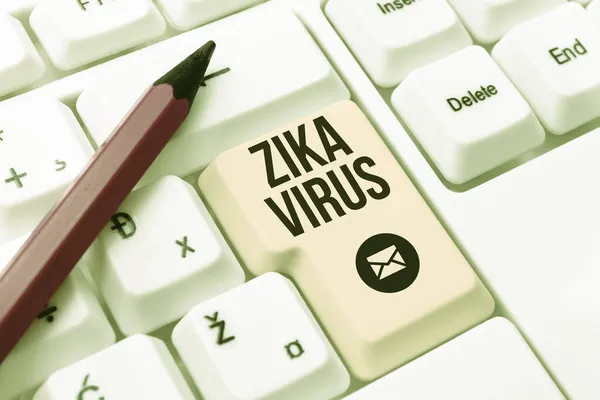 Szöveges felirat a Zika vírusról. Üzleti ötlet, amelyet egy vírus okoz, amelyet elsősorban az Aedes szúnyogok terjesztenek Áruk online vásárlása és értékesítése, termékek jegyzékbe vétele az interneten keresztül — Stock Fotó