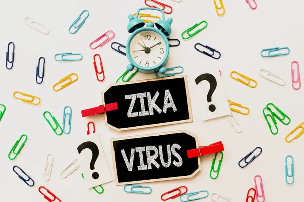 Inspiráló szöveg Zika Virus. Üzleti megközelítés által okozott vírus által közvetített elsősorban Aedes szúnyogok Kreatív Otthon Újrahasznosítás ötletek és tervek fogalmak Időgazdálkodás — Stock Fotó