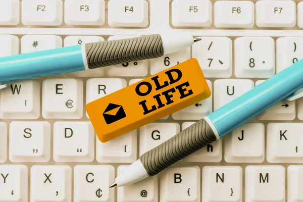 Hand writing sign Old Life. Internet Concept the way I was in the past before some important change happened Typing Game Program Codes, Programming New Playable Application — Stock Photo, Image
