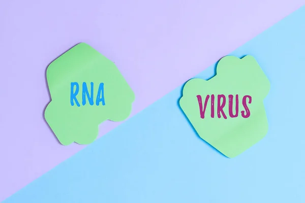 Текстовая подпись с изображением вируса Рна. Слово, написанное на вирусной генетической информации, хранится в виде РНК Два объекта, расположенных лицом наружу, на отдельном цветном фоне — стоковое фото