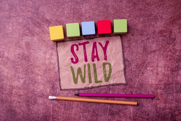 Kavramsal gösteri Vahşi Kalın. İşletme yaklaşımı, sen olmaya ve yaptığın şeyi yapmaya devam ediyor. Yeni parlak fikirleri düşünmek, yaratıcılığı ve ilhamı yenilemek asla değişmek istemiyor.