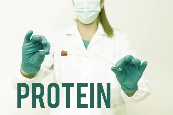 Protein sunan metin başlığı. Tıbbi Örnek Sunan ve Analiz Eden Tıbbi Örnek Veren Düşük Yağ ve Karbonhidrat Tüketim Kilo Verme Planı — Stok fotoğraf