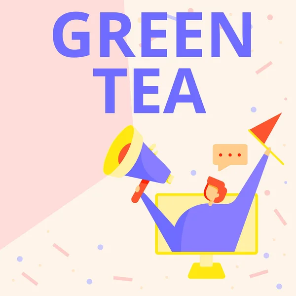 Conceptuele bijschrift Groene thee. Business idee type thee dat is gemaakt van Camellia sinensis bladeren en knoppen Lady Inside A Monitor Screen Drawing Holding Megaphone And Flag. — Stockfoto