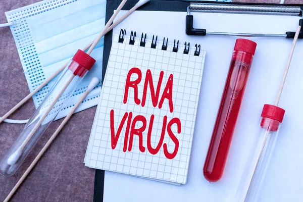 Szöveges felirat, amely bemutatja a Rna vírust. Fogalmi fotó egy vírus genetikai információt tárolnak formájában RNS írás Gyógyszer Laboratórium Tesztelés és Elemzés Fertőzések — Stock Fotó