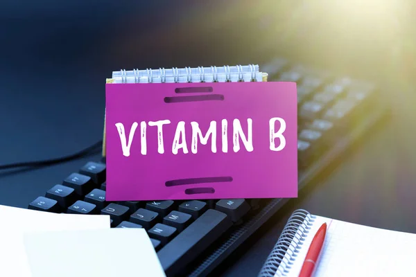 Konceptuell bildtext Vitamin B Word Skrivet på Näringsämne som hjälper till att hålla kroppen nerv och blodkroppar friska Skapa datorprogrammering tjänster, skriva nya kalkylblad Data — Stockfoto