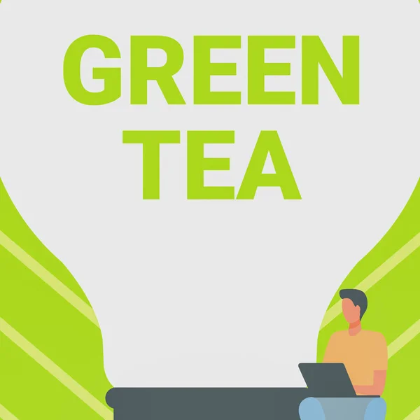 Schrijven met tekst Green Tea. Conceptuele foto type thee dat is gemaakt van Camellia sinensis bladeren en knoppen Gentleman zitten en met behulp van Laptop Naast een grote gloeilamp. — Stockfoto