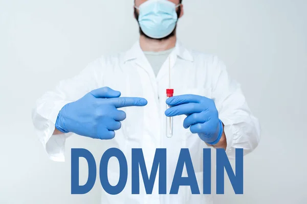 Handwriting text Domain. Concept meaning an area of territory controlled by a particular ruler or government Doctor Explaining Laboratory Test Result, Nurse Gather Specimen For Testing — Stock Photo, Image