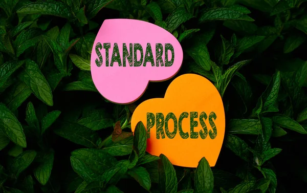 Text bildtext som presenterar Standard Process. Konceptuella foto regler som ska matchas med den slutliga produktkvaliteten Heart Shaped Paper på toppen av utomhus natur löv växt Bush. — Stockfoto