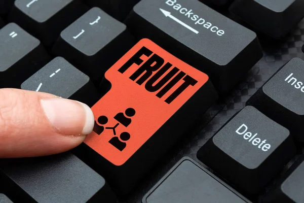 Text sign showing Fruit. Business concept sweet and fleshy product of a tree or other plant that contains seed Downloading Online Files And Data, Uploading Programming Codes — Stock Photo, Image
