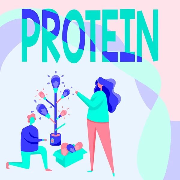 Metin Protein gösterimi yazılıyor. İş yaklaşımı yağ ve karbonhidrat tüketim zayıflama planı Erkek ve Kadın Diz çökmüş Ampul Ağacı Çiziyor. — Stok fotoğraf