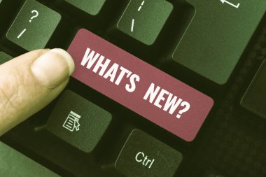 Hangi S Yeni Sorusu gösteriliyor. İnternet Konsepti En Son Güncelleme Eğilimleri Haberler Düzenleme Web Sitesi Program Kodları Hakkında Soruyor, Yeni Programlama Dili Öğreniyor