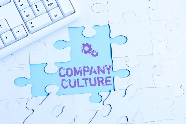 주식회사 문화 ( 영어 : Company Culture). 비지니스 아이디어: 직원들 이 작업하는 환경 과 요소: 완공되지 않은 화이트 지그 톱 패턴 퍼즐 과잃어버린 마지막 조각 — 스톡 사진