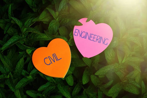 Text showing inspiration Civil Engineering. Word for Planning Design Building of roads bridges public buildings Heart Shaped Paper On Top Of Outdoor Nature Leafy Plant Bush.