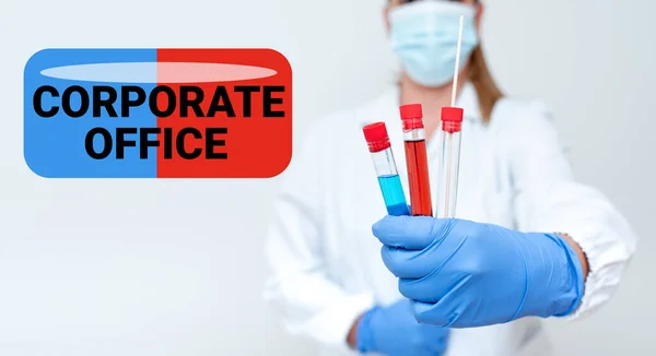 El yazısı tabelası Şirket Ofisi. Virüs Enfeksiyon Laboratuvarı Testleri İçin İlaç ve Aşıyı Doğrudan Test Etmeyen Birincil Bölümleri Destekleyen İnternet Kavramsal Ev Departmanı — Stok fotoğraf