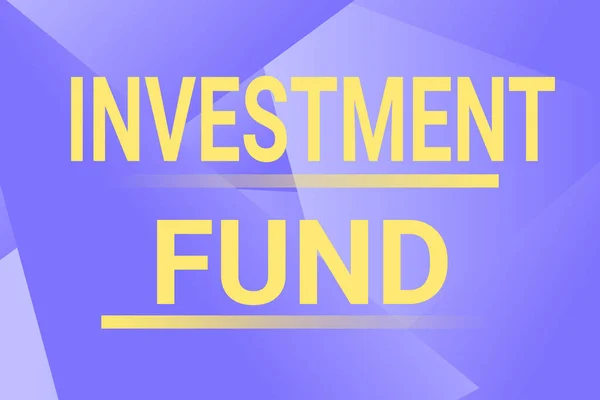 Εννοιολογική απεικόνιση Επενδυτικό Ταμείο. Λέξη για μια προσφορά κεφαλαίου που ανήκει σε πολλούς επενδυτές Γραμμή Εικονογραφημένα Backgrounds με διάφορες μορφές και χρώματα. — Φωτογραφία Αρχείου