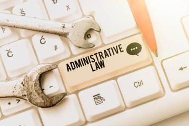 El yazısı İdari Hukuk. Hükümetin Çevrimiçi Verileri Biçimlendirmesi ve Derlemesi, Soyut Düzenleme Hesap Tablosu tarafından oluşturulan Kural Yönetmeliği Organizasyonu Düzenlemeleri