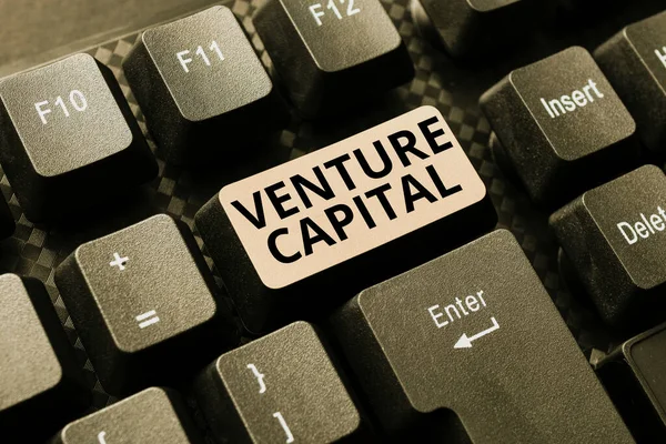 Psaní textu Venture Capital. Financování podnikatelského přístupu, které firmy poskytují malým začínajícím firmám Převod analogových dat na digitální média, fórum pro psaní užitečných tipů — Stock fotografie
