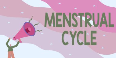 Adet döngüsünü gösteren bir tabela. Yumurtalıklarda ve rahimde her ay yapılan iş yaklaşımı ve yeni bir duyuru yapan bir adamın 