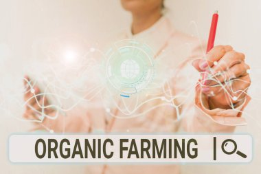 Kavramsal gösterim Organik Tarım. İş dünyası, Gelecekçi Mobil Holografik Ekran kullanarak sürdürülebilirlik için uğraşan bütünleşik bir tarım sistemi sergiliyor.