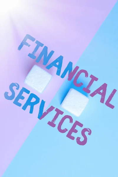 Texte inspirant Financial Services. Aperçu de l'entreprise Location d'argent et d'investissements Prêts d'actions Maisons de courtage Deux objets orientés vers l'intérieur vers l'extérieur sur un fond coloré séparé — Photo