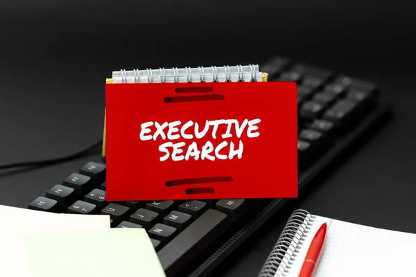 Texto que muestra inspiración Executive Search. Conceptual foto reclutamiento organizaciones de servicios de pago para buscar candidatos Entrada de información importante en línea, Escribir divertido Blog de Internet — Foto de Stock