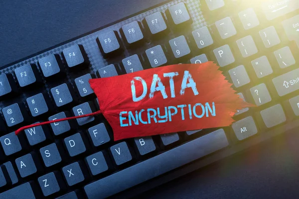 Conceptual display Data Encryption. Business showcase Symmetrickey algorithm for the encrypting electronic data Writing Online Research Text Analysis, Transcribing Recorded Voice Email — Stock Photo, Image