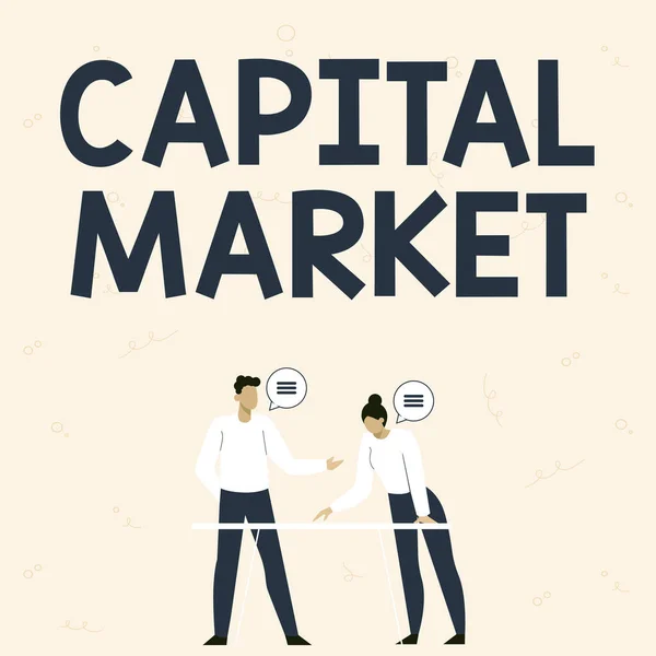 Textskylt som visar kapitalmarknaden. Word Skrivet på de platser där sparande och investeringar kanaliseras -42698 — Stockfoto