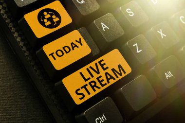 Metin Live Stream yazılıyor. Çevrimiçi Ses Kaydı, Önemli Notlar Yazma ve Kaydetme ve Yazdırma İnternet Kullanımı ile bir video veya ses materyali yayınlamak için iş genel görünümü
