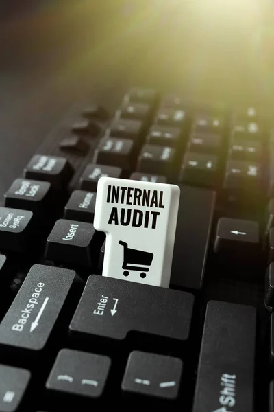 Text sign showing Internal Audit. Business idea evaluates the objective assurance to improve a firm s is operation Typing And Publishing Descriptions Online, Writing Informative Data — Foto Stock