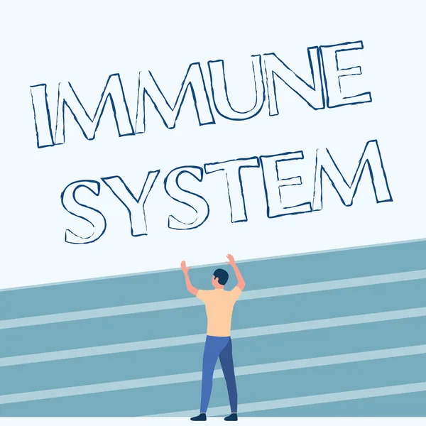 Text sign showing Immune System. Business approach Complex network work together to defend against germs Athletic Man Standing On Track Field Raising Both Hand Showing Celebration. — Stockfoto