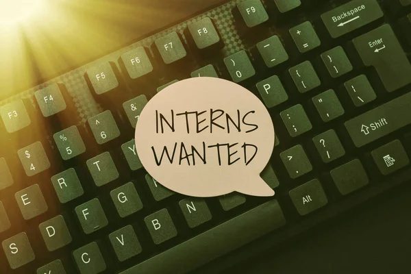 Conceptual caption Interns Wanted. Business overview Looking for on the job trainee Part time Working student Typing Hospital Records And Reports, Creating New Ebook Reading Program — Stockfoto