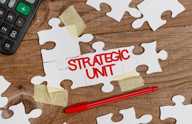 Stratejik Birim 'i göster. Kavramsal fotoğraf kâr merkezi ürün sunma ve piyasa segmentine odaklandı. Eksik Son Parça ile Tamamlanmamış Bir Yapboz Yapbozu Yapılandırılıyor