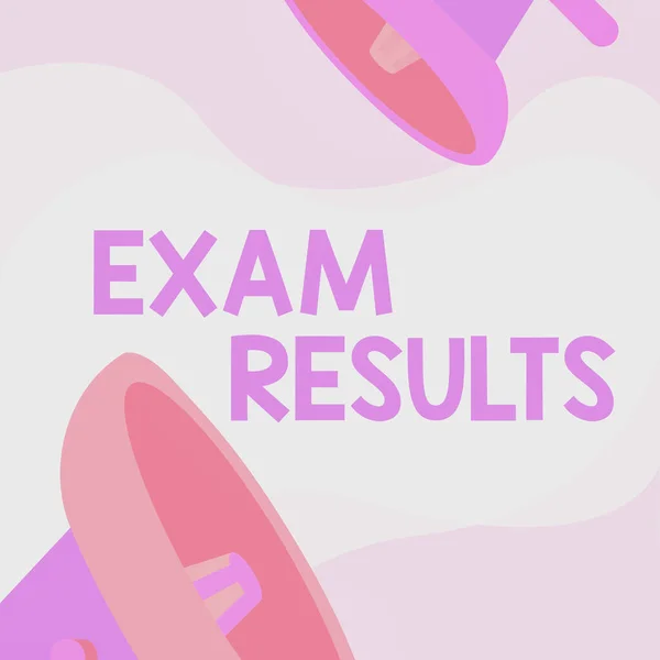 Writing displaying text Exam Results. Internet Concept An outcome of a formal test that shows knowledge or ability Megaphones Drawing Giving Positive Comments Making Announcement — Foto Stock