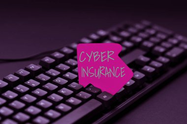 Kavramsal başlık Siber Sigorta. Kavrama, şirketi Internet tabanlı risklerden korumak, Bilgisayar Programlama Hizmetleri yaratmak, Yeni Çalışma Kağıdı Veri Yazmak için özel bir plan anlamına geliyor.