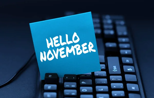 Tekst bijschrift met Hallo November. Woord voor Welkom de elfde maand van het jaar Maand voor december Typen behulpzaam Blog Tutorial En Gidsen, Onderzoek Strategieën Online — Stockfoto