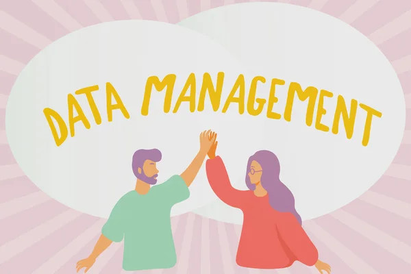 Conceptual display Data Management. Concept meaning The practice of organizing and maintaining data processes Happy Colleagues Illustration Giving High Fives To Each Other. — Foto Stock