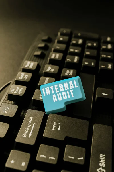 Text showing inspiration Internal Audit. Business showcase Evaluates the effectiveness of the controls and processes Setting Up New Online Blog Website, Typing Meaningful Internet Content — Stockfoto