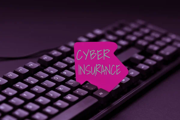 Conceptual caption Cyber Insurance. Concept meaning exclusive plan to protect the company from Internetbased risk Creating Computer Programming Services, Typing New Worksheet Data — Stock Photo, Image